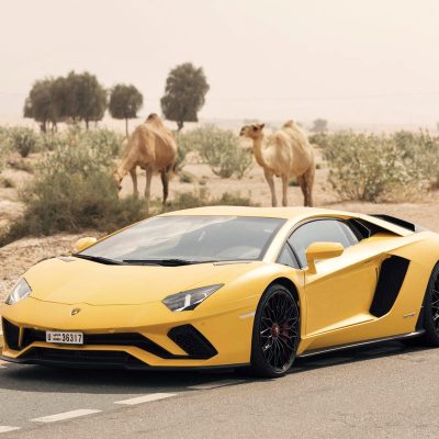 Aventador S with Camels